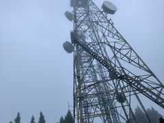 -武陵山森林公园