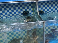 -京泰隆生鲜超市(林后店)