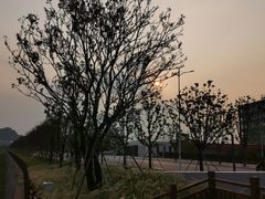 -光明小镇欢乐田园
