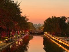 -大望京公园