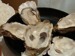 -蚝大仙横琴生蚝火锅(日月贝店)