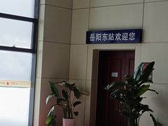 -岳阳东站