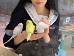 -怪兽屋·羊驼·猫咖·狗咖(俊华广场店)