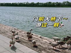 -南大港湿地风景区