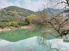 -树山生态村