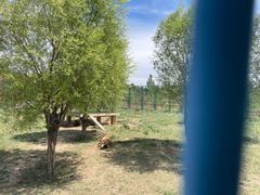 -鄂尔多斯野生动物园