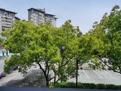 -霸道川面馆(张江店)