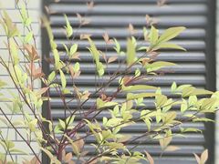 -星巴克臻选(郑州国贸360广场店)