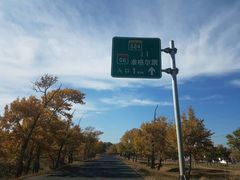 -希拉穆仁草原