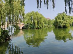 -济南大明湖景区