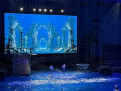-海合安武汉极地海洋公园