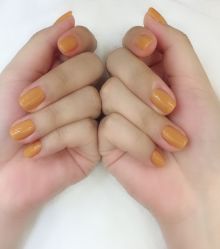-艾妮世家