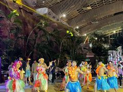 -杭州开元森泊度假乐园