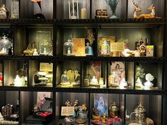 -雪灵魔法世界SHELLY’S TAROT(大良桂畔里店)