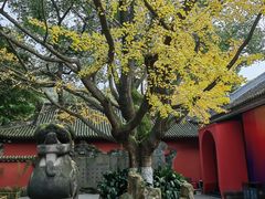 -成都武侯祠博物馆