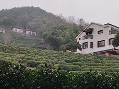 -十里琅珰