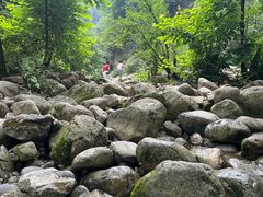 -陕西省红河谷森林公园