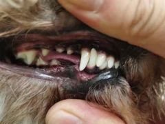 -乐琪宠物(青塔西路店)