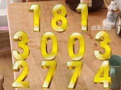 -万利·汀宝会夜总会KTV(威斯汀店)