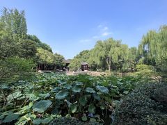 -秋霞圃