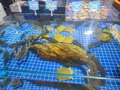 -宝轩渔府·老字号海鲜·正宗津菜(水上店)