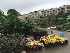 -玉泉综合市场(天山北路店)