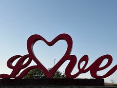 -西京湾花海