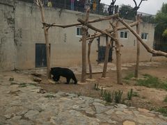 -石家庄市动物园