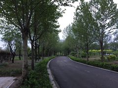 -秀水公园