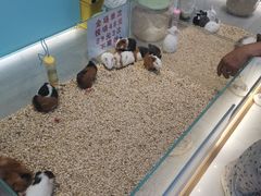 -万达广场(北京槐房店)