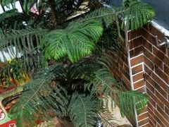 -煲得鲜·桐乡煲·小龙虾(万达店)