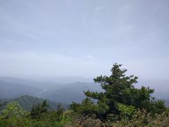 -王顺山国家森林公园