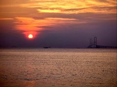 -宝安西湾红树林湿地公园