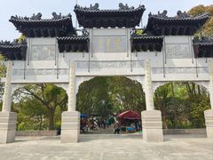 -南汇桃花村