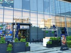 -bluefrog蓝蛙(恒隆广场店)