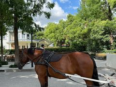 -J Create城市露营咖啡·简餐·宠物(上海动物园店)