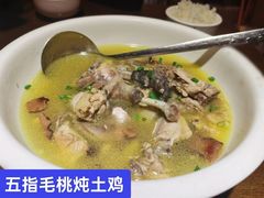 -天鹅到家·保姆月嫂育儿嫂(朝阳店)