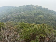 -宝界山林公园