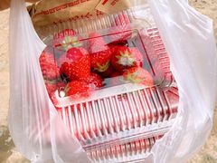 -辛庄国际文化艺术区