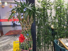 -彭城味道.地道徐州味(怡海花园店)