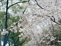 -玉山公园
