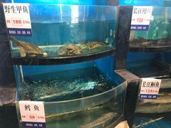 水产区-莆鑫海鲜城(浏河店)