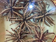 -回收名酒洋酒烟酒冬虫夏草礼品(上海总店)