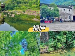 -大奇山国家森林公园