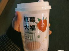 -树夏(来福士店)