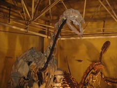 -世界恐龙谷景区