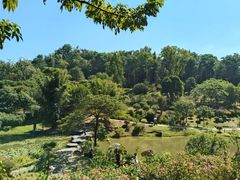 -东莞植物园