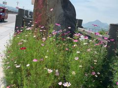 景点-新安江山水画廊风景区