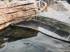 -夏津德百度假村温泉