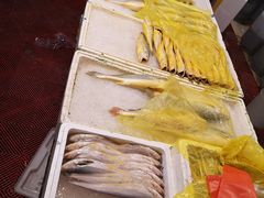 -芦潮港集贸市场